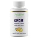 Paradise Herbs Premium Ginger Extract for Digetical Health, Super Poweral, Ultra Pure, Vegan, Non-GMO, Gluten Free, 60 Vegetarian Capsules