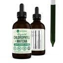 360 Nutrition Matcha Chlorophyll Liquid Drops with L-Theanine, Gluten Free & Vegan Internal Deodoran Supplement, Support Gut Health, Divalry, Energy, Radiant Skin, Fast Absorpsi, 60 Servis