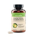Naturewise Garcinia Camigia - 60% HCA Extract concentraction, Natural Dukung for Weight Goals and Energy Levels - Vegan, Non-GMO, Gluten Free - 90 Capsules [Persediaan 1-3 Bulan]