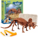 Triceratops Geoworld Dino Dig Kit - Siapkan 8- Inch Authentic Dinosaurus Skeleton Model - Ultimate STEM Experience untuk Anak-anak Umur 6 +