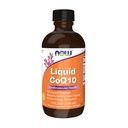 Suplemen NOW, CAMO 10 Liquid, 100 mg per Teadle, dengan Co-enzim B Vitamin, Dipermanis dengan Xylitol, 4-Ounce