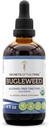 Bugleweed USDA Organik 124; Alkohol- Ekstrak FREE, Tinggi Potency Herbal Drops, Respiratory System 124; Dibuat dari 100% Certified Organic Bugleweed (Ze Lan, Lycopus Virginicus) Dry Herb 4 oz