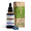 Rahasia dari Tribe Bilberry Fruit USDA Organik 124; Alcohol-Extract Bebas, Tinggi Potency Herbal Drops, Vision 124; Dibuat dari 100% Sertifikasi Organic Bilberry (Vaccinium Myrtalus) Dry Buah 2 oz