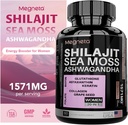 -Dalam satu laut Moss, Shilajit, Ashwagandha & Glutathione Suplemen untuk Perempuan, Boosts Energi, 60 Kapsul