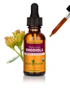 Herb Pharm Certified Organic Rhodiola Root Extract for Energy, Endurance and Stamina, Alcohol- Free Glycerite, 1 Ounce