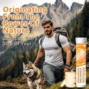 Bible Prevention Ketinggian TOMENGBEIABBCC Kebodohan Sickness, Tingkat Ketinggian Rapid Tinggi Treatment, Ketinggian Efektif Perkelahian Femula Demiymptoms untuk Acclimation untuk Ski, Hike dan Mountain