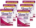 Besi Fe Slow Rilis, Tablet 30 ea (Paket 6)