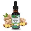 Nature 's Respons Ginger Root Free Extract 1 Ounce 124; Pasokan Fungsi Perut 124; Vegan 124; Vegetarian 124; Non- GMO 124; Gluten Bebas