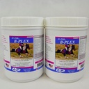 SU-PER B-Plex Powder Equine Vitamin - Complex B-Complex Horse Vitamin and Mineveral Hooves, Red Blood Cells, Horse Calming Powder - 2,5 Pounds, (2 Pack)