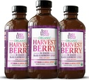 Andi Lynn 's Organic Harvest Berry Syrup untuk Anak-anak dan Dewasa - Real Honey Elderberry Syrup untuk Dukungan Imune - Therapeutic Formula - 4 Fl Oz (Paket 3)
