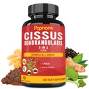 Super Cessus Quadrangularis Ekstrak Katup dengan Boswellia, Guggul, Turmeric, Pepper 124; 3 Bulan Supply