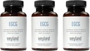 EGCG 124; Green Tea Extract 124; 400 mg - Antioksidant Supplement (Paket 3)