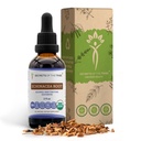 Echinacea Root USDA Organic Tincture 124; Alcohol-Free Extract, High- Potency Herbal Drops, Imune System Health 124; Dibuat dari 100% Certified Organic Echinacea Root (Echinacea Purpurea) 2 oz