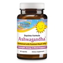 Amerika Utara HERB & SPICE Ashwagandha 60 Caps