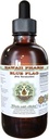 Blue Flag Alcohol- Free Liquid Extract, Organic Blue Flag (Iris Versicolor) Root Kering Glycerite Hawaii Pharm Natural Herbal Suplemen 2 oz
