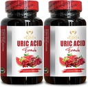 Dukungan Acid URIC - Ginjal Herbal Pil dengan Chanca Piedra, Uric Acid Dukungan Formula, ketidaknyamanan bersama, Remedy Alam - 2 Botol 120 Kapsul