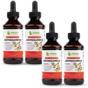 Maxx Herb Ashwagandha Extract - Max Power Liquid Taincture Absorbs Lebih Baik dari Kapsul atau Powder - untuk Stamina, Memori, dan Dukungan Imune - 4 Botol, 4 Oz Masing-masing (240 Servings)