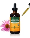 Herb Pharm Certified Organic Echinacea Root Liquid Extract for Immune System Dupport, Organic Cane Alkohol, 4 Ounce