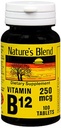Nature 's Blend NAT B Vitamin B12 TB, 100 Count