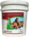 CVM - Vitamin Kuda - Vitamin e Suplemen Kuda - Suplemen Kuda - Sehat dan Shiny Coat - Selenium - Suplemen Feed - Mineral Vitamin Kompleks (Big)