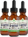 RawGuru Methylfolat 1mg + Vitamin B12 - Metode Vegan Organik B12 dengan Trace Minetal - Nano - Diproses & Enhanced Liquid Formula - 300 Pelayan Vegan Drops per 30 ml, Paket 3