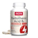 Jarrow Formula Panthenic Acid B5 500 mg - 100 Veggie Caps - Escule B Vitamin - Produksi Energi & Metabolisme Dukungan - 100 Pelayan