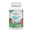Anak-anak Nordic Calm Gummies - Strawberry Watermelon - 60 Gummies - Magnesium L- Theanine Supplement - Calming for Kids - Dukungan Relaksasi - hingga 60 Servis