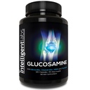 Slucosamin Slucine dan Kompleks Kekuatan Tinggi Chondroitin dengan MSM 124; 180 Capsules 124; Sistem Ammune Dukungan: