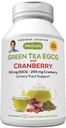 ANDREW LESSMAN Green Tea EGCG & Cranberry 180 Capsules - Standardisasi untuk Catechins dan Polyphenols. Membantu Melindungi Masalah, Organ dan Sistem Sepanjang Tubuh. Dukungan Anti- oksidan Kuat