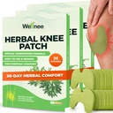 Wellnee Original Herbal Knee Patch - Wellknee Plaster for Knee Duck & Muscle Pain - Maximum Power for a Temporary Relief - Adhesive Heat Patches Made with Natural Herbs for Wellness (30 Pads)