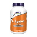Sekarang Makanan LLysine 500 Miligram, 250 tablet