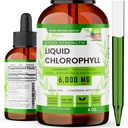 Klorofil Cair Drops (1500 MG) - Suplemen Dukungan Ammune untuk Energi, Fokus & Wellness Boost, Detox Cleanse, Kesehatan & Gut Kesehatan - Non-GMO & Vegan (4oz)
