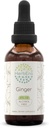 Herbera Ginger B60 Alcohol- Free Herbal Extract Tincture, Super- berkonsentrasi Ginger (officincinale Zingiber) 2 lf oz