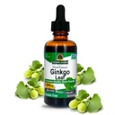 Nature 's Respon Free Ginkgo Biloba Leaf Extract, 2 Ounce, 2 Count 124; Support a Healthy Brain 124; Promotes Cognitive Fungsi 124; Increase Mental Clarity 124; Natural Focus Aid