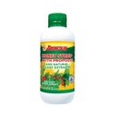 Broncolin Honey Syrup dengan Propolis, Syrup dengan Natural Plant ekstrak untuk Refresh Your Throat, Natural Ingregents, Elderberry, Eucalyptus, Peppermint Oil, 11.4 Oz, Botol