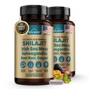 Shilajit Pure Himalaya Capsules Organik dengan Irlandia Sea Moss, Ashwagandha, Copper, Root Beet - Fulvic Acid Trace Mineral Suplemen Pria & Perempuan - 90 Count, Non-GMO, Gluten- Free