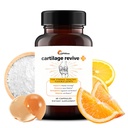 UpWellness Cartilage Revive + Joint Supplement for Men and Women with Type II Collagen for Joints