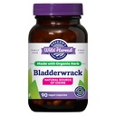 Oregon 's Wild Harvest Bladderwrack Organic None-GMO pullulan (Tanaman bersumber) Vegan Capsules, 90 Count