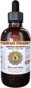 Ekstrak Liquid Silvertop Amerika, Amerika Silvertop (Glehnia Littoralis) Root Tincture Suplemen 2 oz