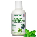 Land Art - Clorofil Clorofil Mint - Cold- Diekstrak dari Wild Non-GMO Alfalfa - Natural Clorofila Liquida - Antioksidant - Detox Supplemen - Boost Energy - Alkalying & Bobody Odor Neutralizer - 16 floz