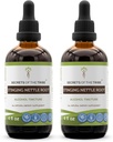 Rahasia Tribe Stinging Root Tainture Alkohol, Tinggi Potency Herbal Drops, Tarture Dibuat dari Stinging Nettle Urtica Dioica Repiratory and Urinary System Health 2x4 oz
