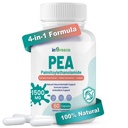 Potensi Tinggi 4-in- 1 Palmitoylethanolamide, 700mg Tambahan untuk Pria dan Wanita, Dibuat di Amerika Serikat, 60 Kapsul