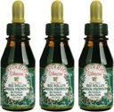 3 Botol Apiario Silvestre Bee Pollen & Brazil Green Bee Propolis Liquid - Glycolic Extracts - Non Alcoholic, Wax Free, Sugar Free