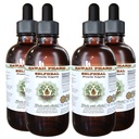 Selfheal Alcohol- Free Liquid Extract, Organic Selfheal (Prunella Vulgaris) Dry Herb Glycerite Natural Herbal Suplemen, Hawaii Pharm, USA 4x4 F.oz