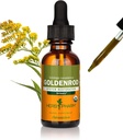 Herb Pharm Sertifikasi Organik Goldenrod Ekstrak untuk Pendukung Sistem Uriner, 1 Fl Oz (Paket 1)
