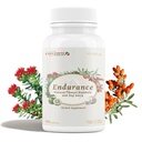 Cheezhenglaya Rhodiola dan Goji Berry Daily Suplement, Dukung Energi, Kesetaraan Mental, Gangguan Boost, Ketahanan Kebal Enhance, Peningkatan Utilisasi Oksigen, Tibetan Natural Herbs, 90 Vevgie Capsules