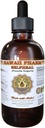 Selfheal Liquid Extract, Organic Selfheal (Prunella Vulgaris) Tincture, Herbal Suplement, Hawaii Pharm, Made in USA, 4 f.oz