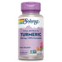 Tambahan Turmerik SOLARAY 300 mg - Ekstrak Root Turmeric dengan ketentuan 95% Curcumin - Dukungan Bersama untuk Kesehatan dan Komfort - Non-GMO, Vegan, Gluten Bebas, Jaminan 60 Hari, 60 Pelayan