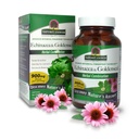 Nature 's Respons Echinacea & Goldenseal 124; Dietary Supplemen 124; Non-GMO & Kosher Disertifikasi 124; Vegetarian / Vegan Capsules 90ct