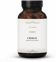Chaga Jamur Suplemen. Dual Extract, Pure Fruiting Body, 30% Polysacchardes, 500 mg, 120 vegecaps (Supply hari 120). Dapat mendukung sehat pencernaan, kekebalan tubuh fungsi dan mempromosikan kesehatan jantung.